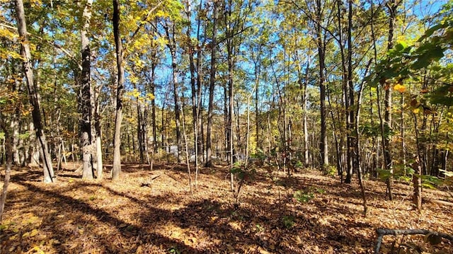 0 Mac Johnson Rd NW, Cartersville, GA 30121