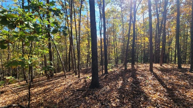 0 Mac Johnson Rd NW, Cartersville, GA 30121