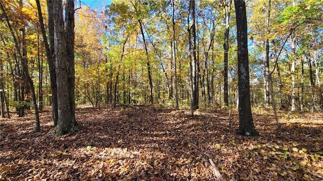 0 Mac Johnson Rd NW, Cartersville, GA 30121