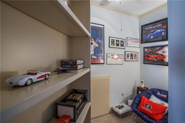 home office with light carpet and ornamental molding