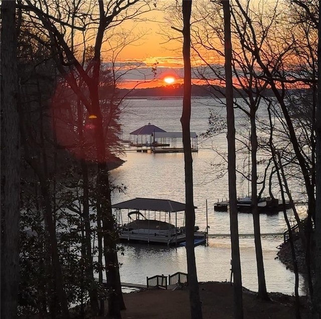 view of water feature with a boat dock