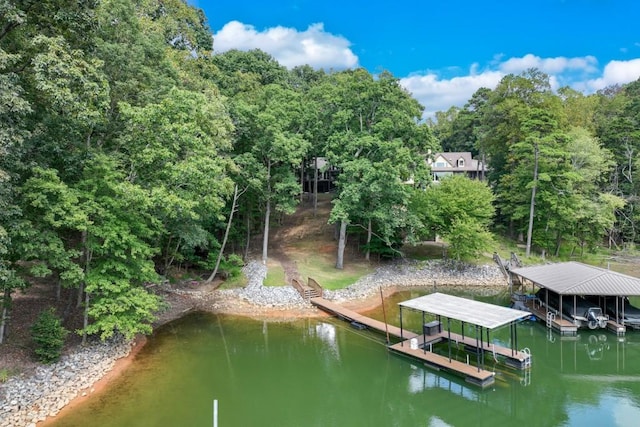 6144 Scott Dr, Flowery Branch, GA 30542 - dock with a water view and a wooded view