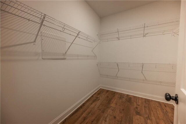 walk in closet featuring dark wood-type flooring