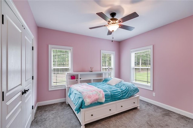 7269 Tyree Rd, Winston, GA 30187 - bedroom with carpet floors, a closet, and multiple windows
