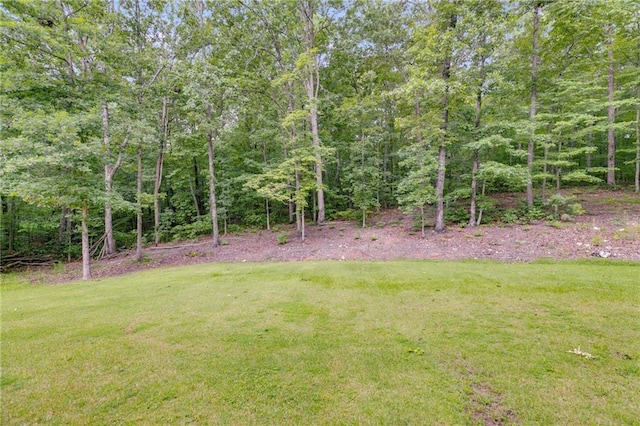 7269 Tyree Rd, Winston, GA 30187 - view of grassy yard featuring a view of trees