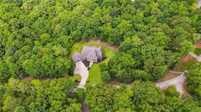 7269 Tyree Rd, Winston, GA 30187 - view of property location with a heavily wooded area