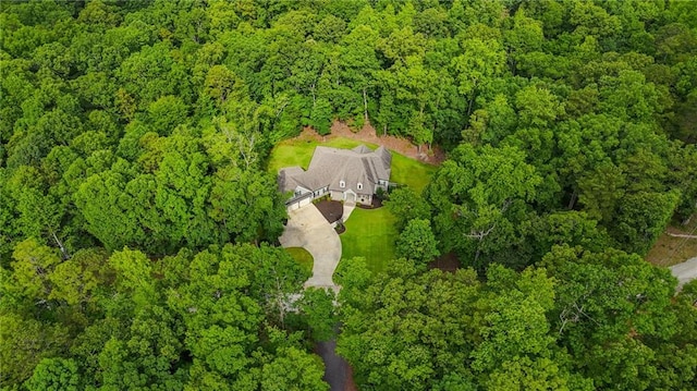 7269 Tyree Rd, Winston, GA 30187 - view of property location with a heavily wooded area