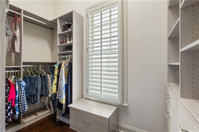 spacious closet with dark wood-style floors