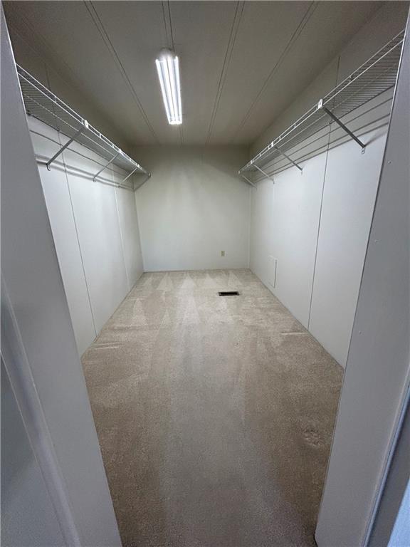 spacious closet featuring carpet flooring