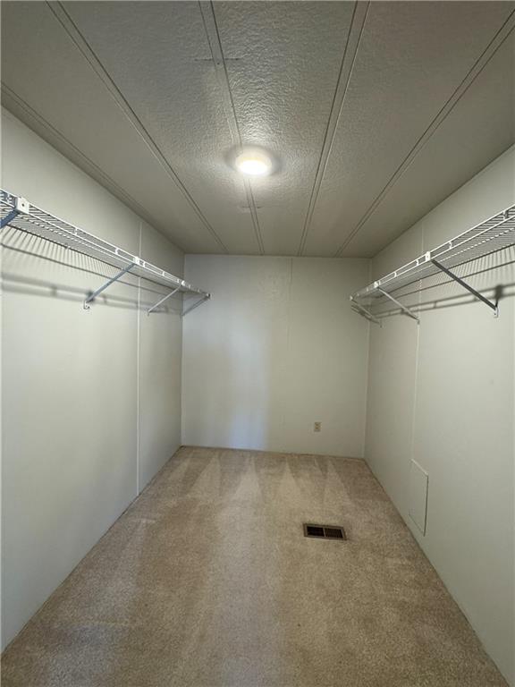 spacious closet featuring carpet floors and visible vents