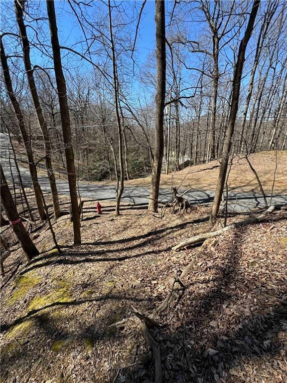 3366 Crippled Oak Trl, Jasper GA, 30143 land for sale