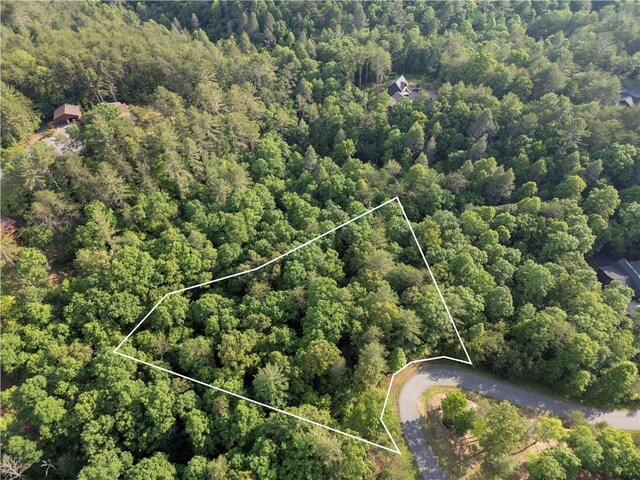 0 Red Bridge Ln, Mineral Bluff GA, 30559 land for sale