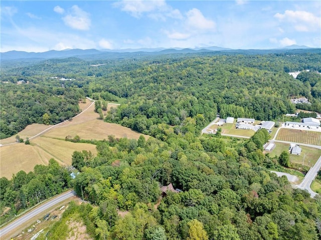 birds eye view of property featuring a mountain view