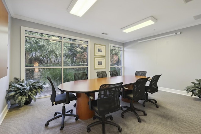 office space featuring carpet flooring and ornamental molding