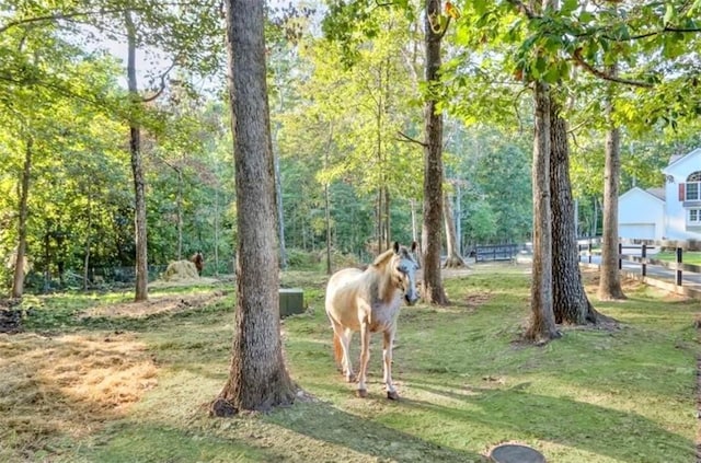 2203 Arbor Hill Rd, Canton, GA 30115 - view of home's community