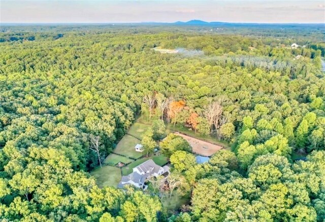 2203 Arbor Hill Rd, Canton, GA 30115 - aerial overview of property's location with a forest
