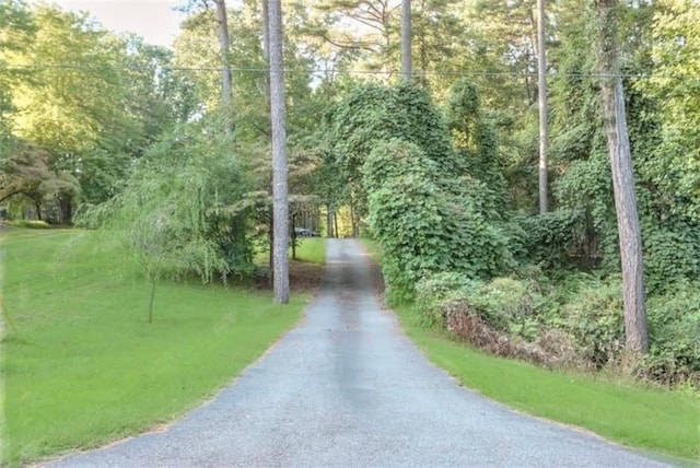 2203 Arbor Hill Rd, Canton, GA 30115 - view of street
