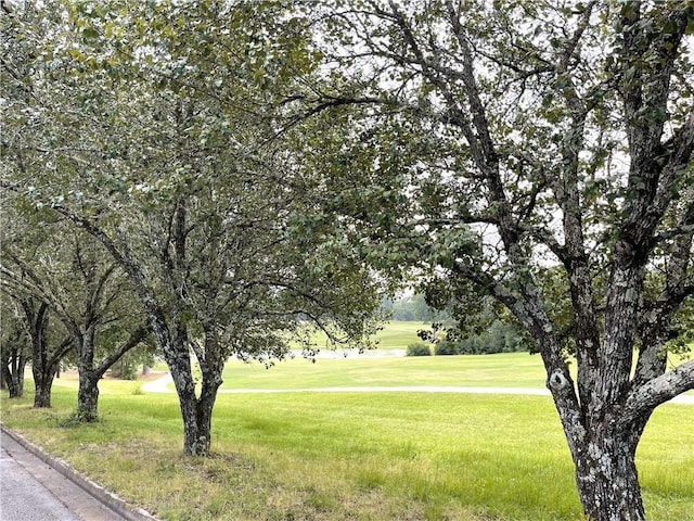 surrounding community featuring a lawn