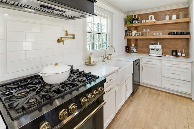 kitchen featuring premium range hood, a sink, white cabinets, light countertops, and crown molding