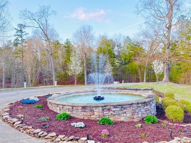 2150 Fincher Rd, Canton, GA 30114 - view of community