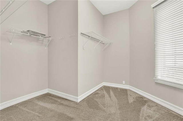 2150 Fincher Rd, Canton, GA 30114 - walk in closet featuring carpet floors