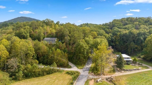 0 Laurel Springs Rd, Mineral Bluff, GA 30559