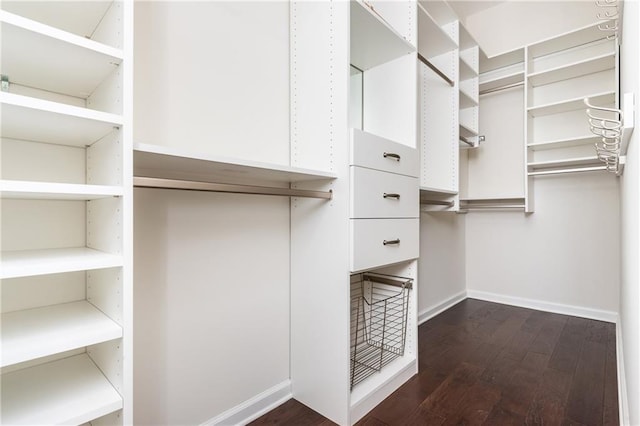 walk in closet with dark hardwood / wood-style flooring