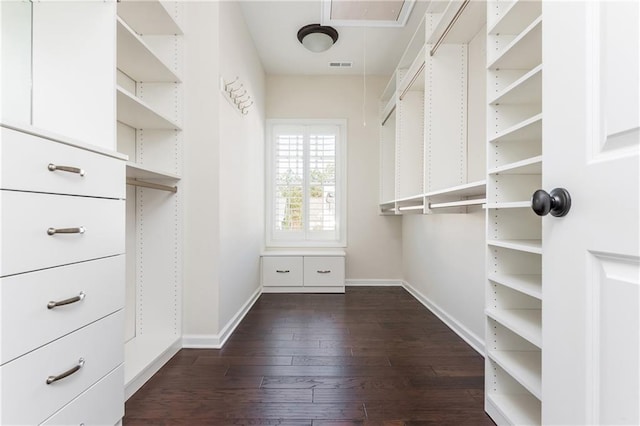 walk in closet featuring dark wood-type flooring