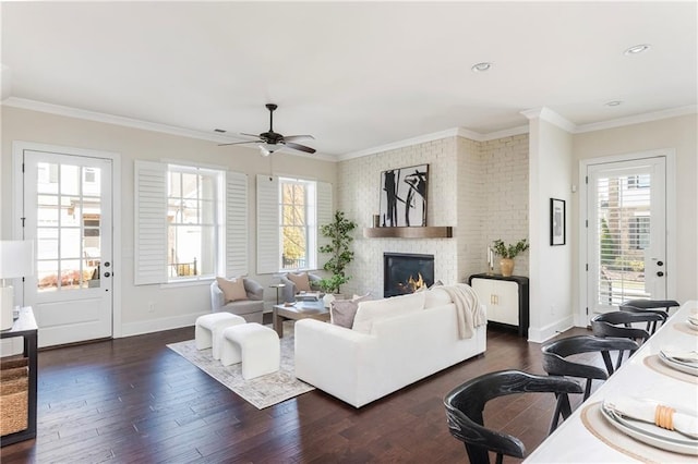 living room featuring a fireplace, ornamental molding, ceiling fan, and dark wood-type flooring