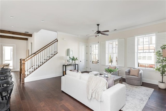 living room featuring ceiling fan, crown molding, and dark wood-type flooring