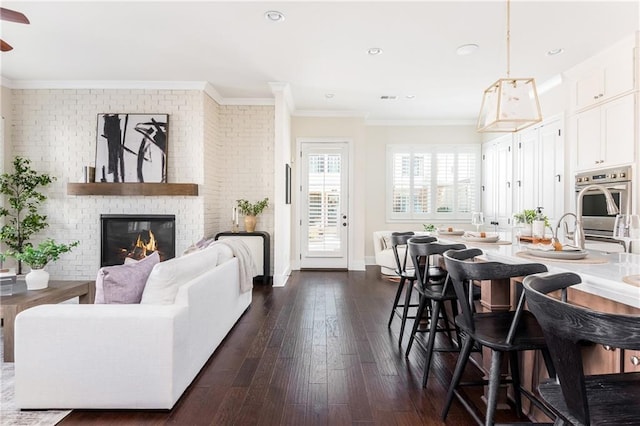 living room with crown molding, a fireplace, and dark hardwood / wood-style floors