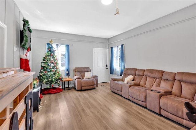 living room with a wealth of natural light and light hardwood / wood-style flooring