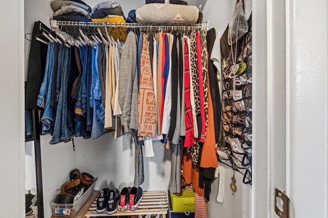 view of walk in closet