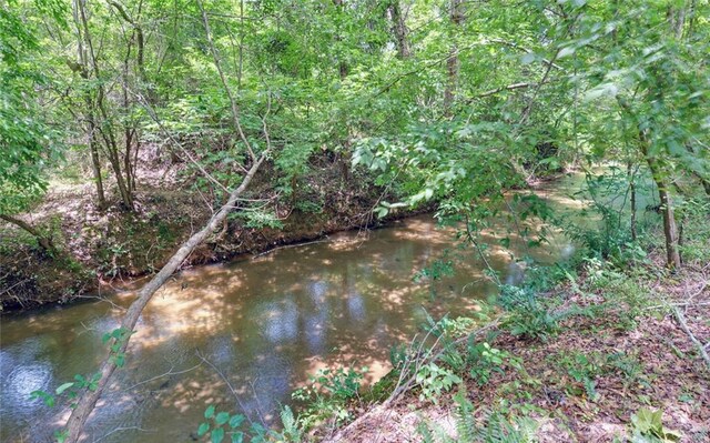 1330 Mccannon Morris Rd, Hull, GA 30646 - view of nature