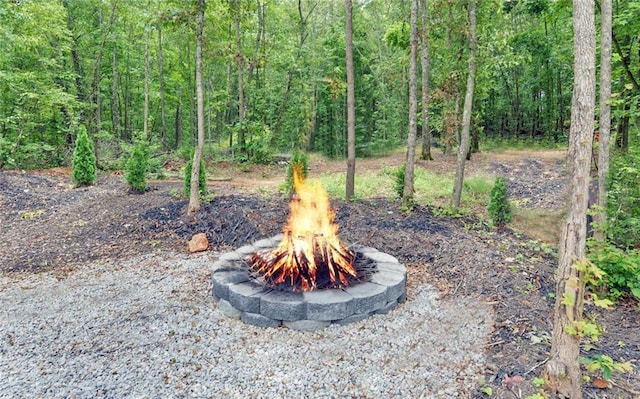 1330 Mccannon Morris Rd, Hull, GA 30646 - view of yard with a fire pit and a forest view