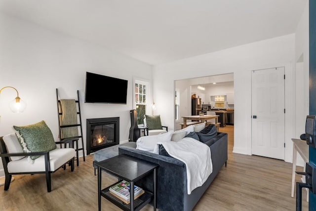 212 Haralson Ave NE, Atlanta, GA 30307 - living room featuring light wood-type flooring and a glass covered fireplace