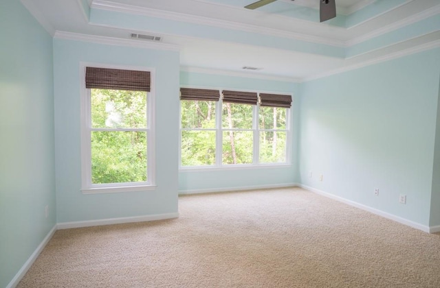 5746 Nix Bridge Rd, Gainesville, GA 30506 - carpeted empty room with healthy amount of natural light, ornamental molding, a tray ceiling, a ceiling fan, and baseboards