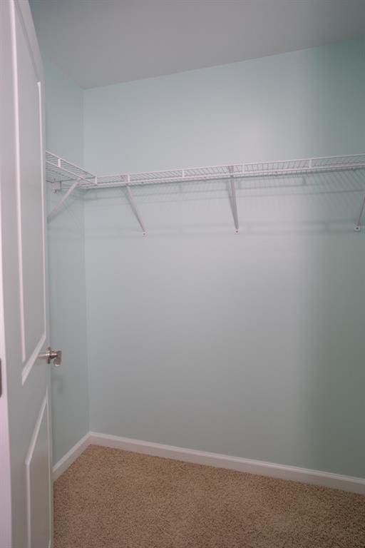 5746 Nix Bridge Rd, Gainesville, GA 30506 - walk in closet with carpet floors