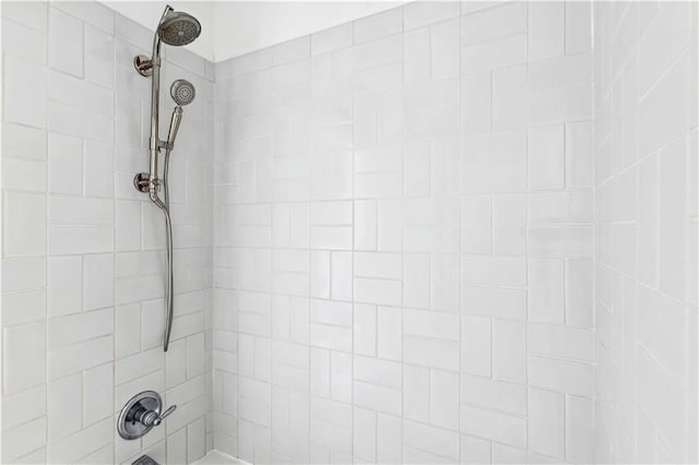 room details with shower / bathing tub combination