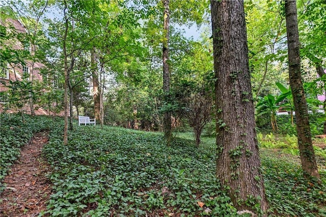 view of yard featuring a view of trees