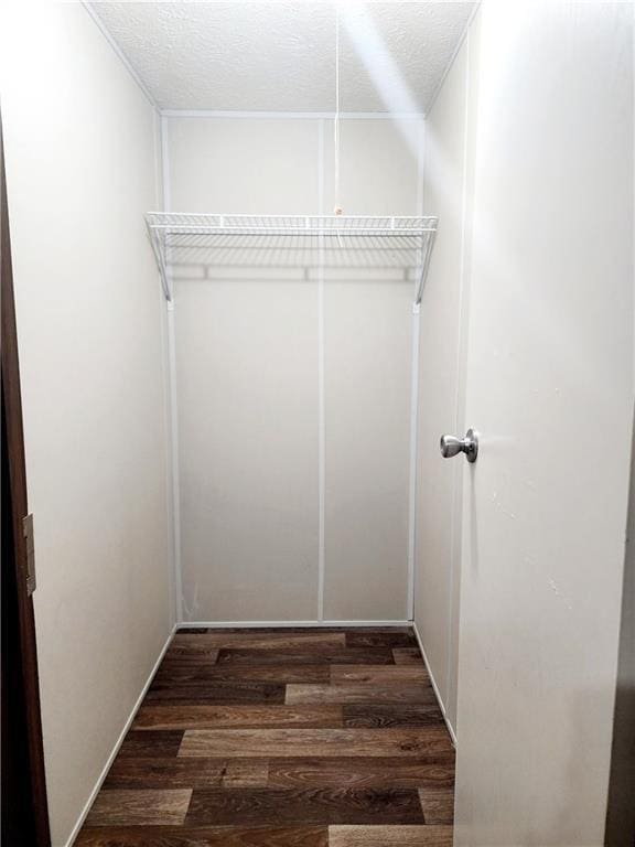 walk in closet featuring dark hardwood / wood-style flooring