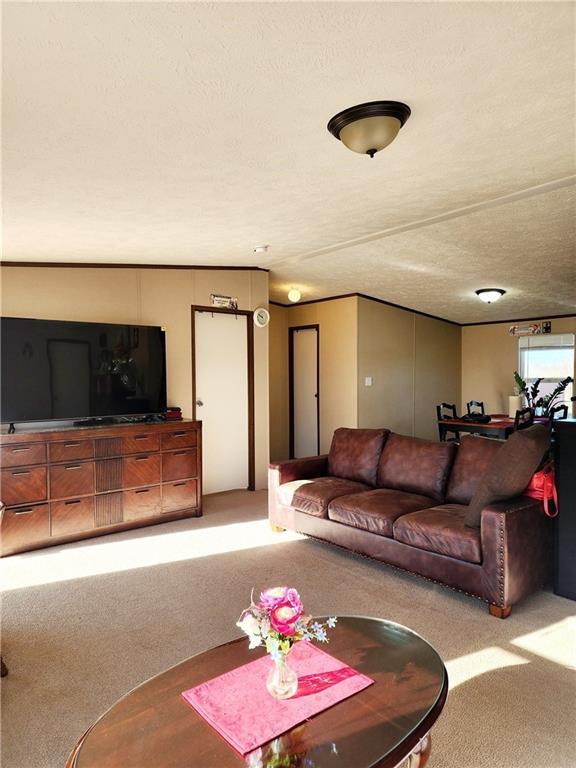 living room featuring light carpet and a textured ceiling