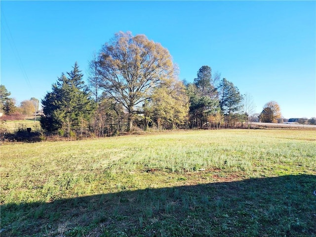 view of yard featuring a rural view