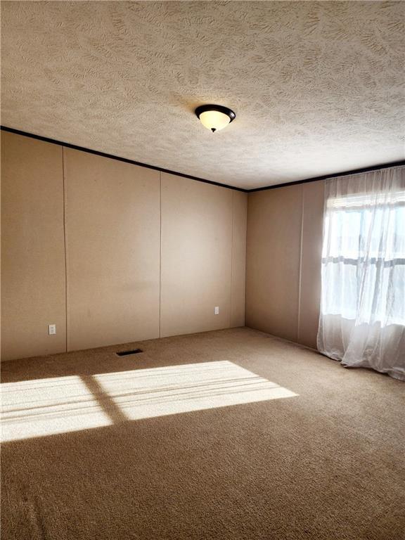 unfurnished room with light carpet and a textured ceiling