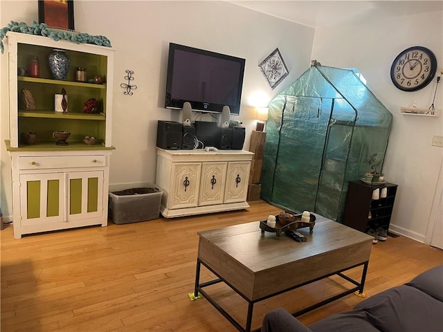 living room with light hardwood / wood-style flooring