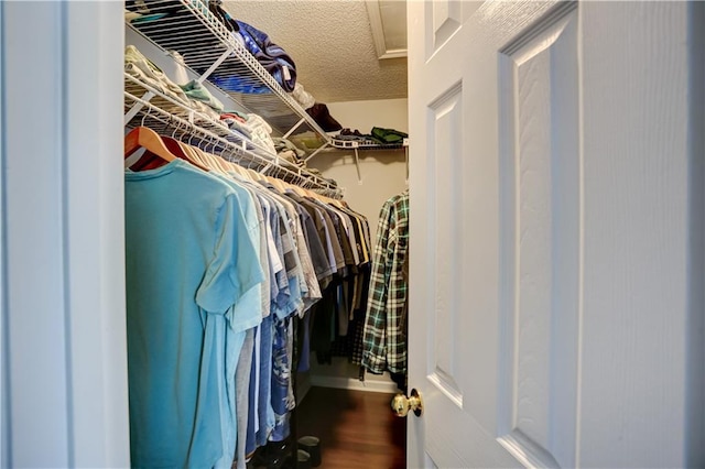 spacious closet featuring wood finished floors