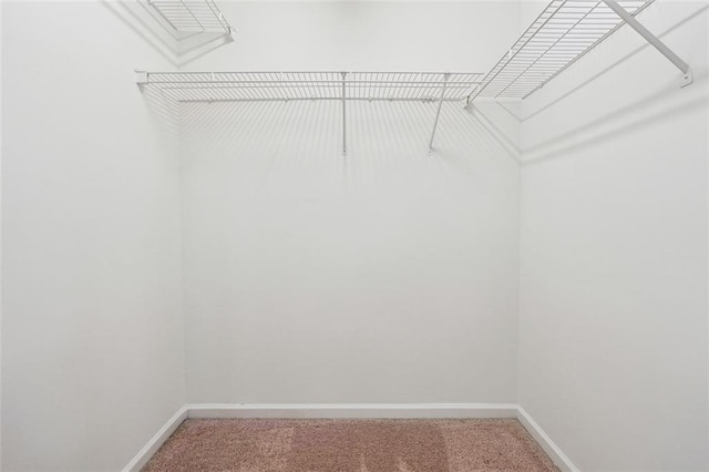 walk in closet featuring light carpet