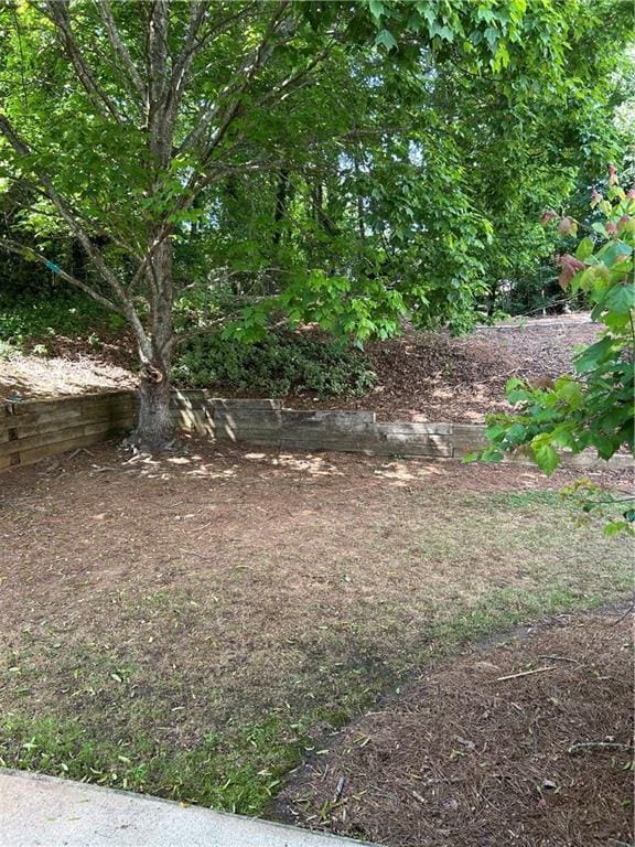 9165 Nesbit Ferry Rd # 9, Alpharetta, GA 30022 - view of yard