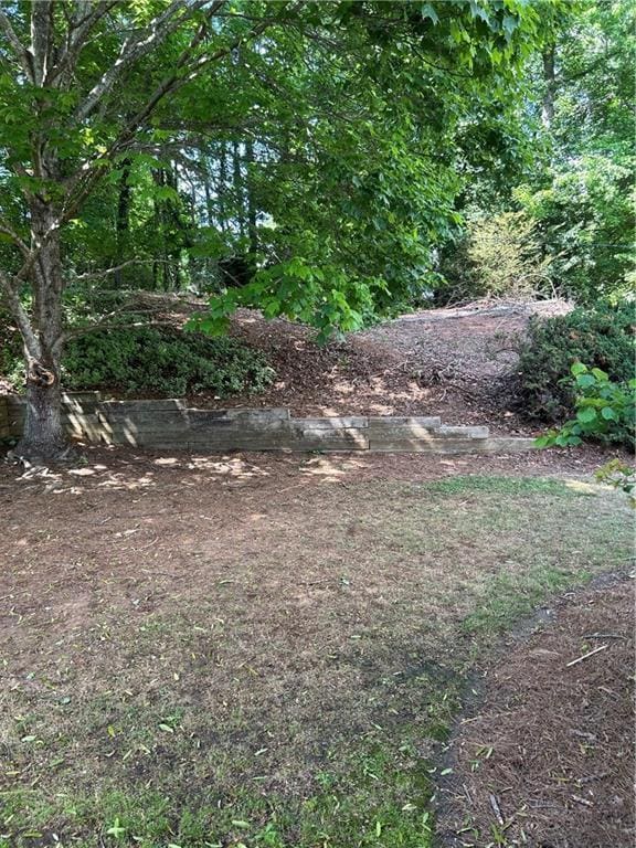 9165 Nesbit Ferry Rd # 9, Alpharetta, GA 30022 - view of yard