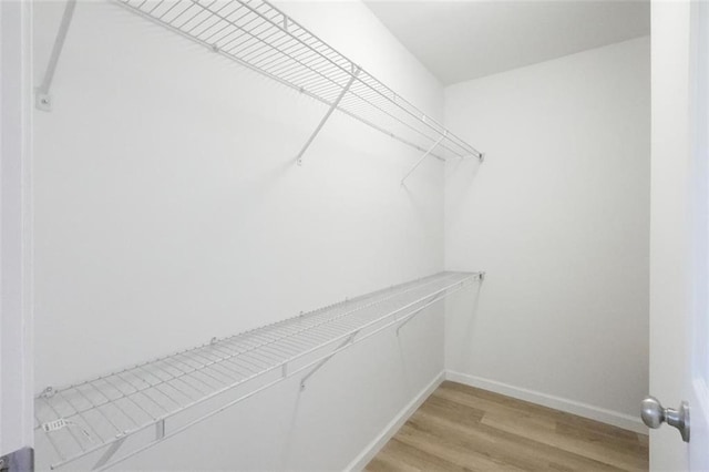 walk in closet featuring light wood-type flooring